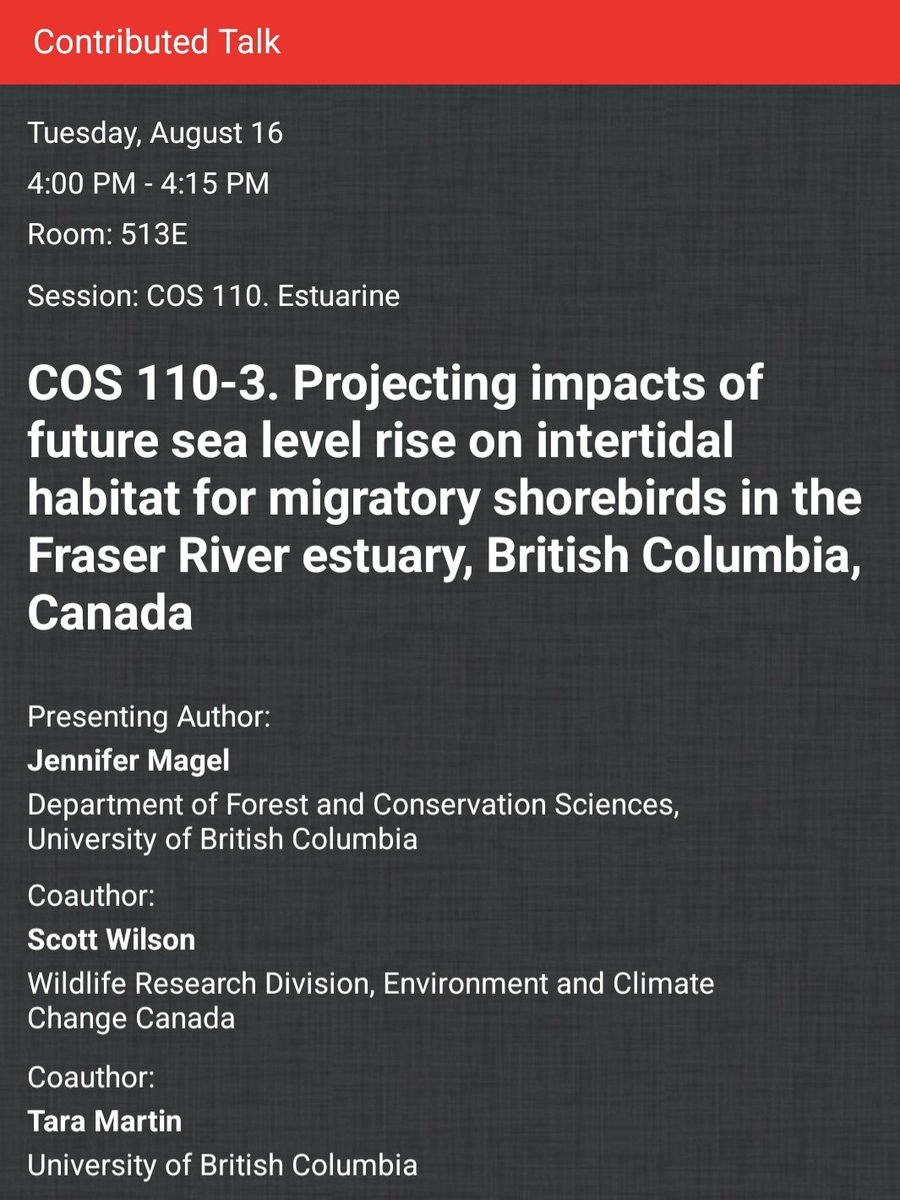 MagelJMT's tweet photo. Attending #ESA2022 #CSEE2022? Interested in #shorebirds, sea level rise, and habitat loss? Come see my talk today at 4:00 pm in room 513E to learn more about the impacts of sea level rise on tidal flat habitat for migratory shorebirds! https://t.co/jaFbyxkVgg