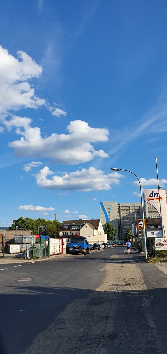 Rayvis10's tweet image. The clouds... A duck and a jet?!