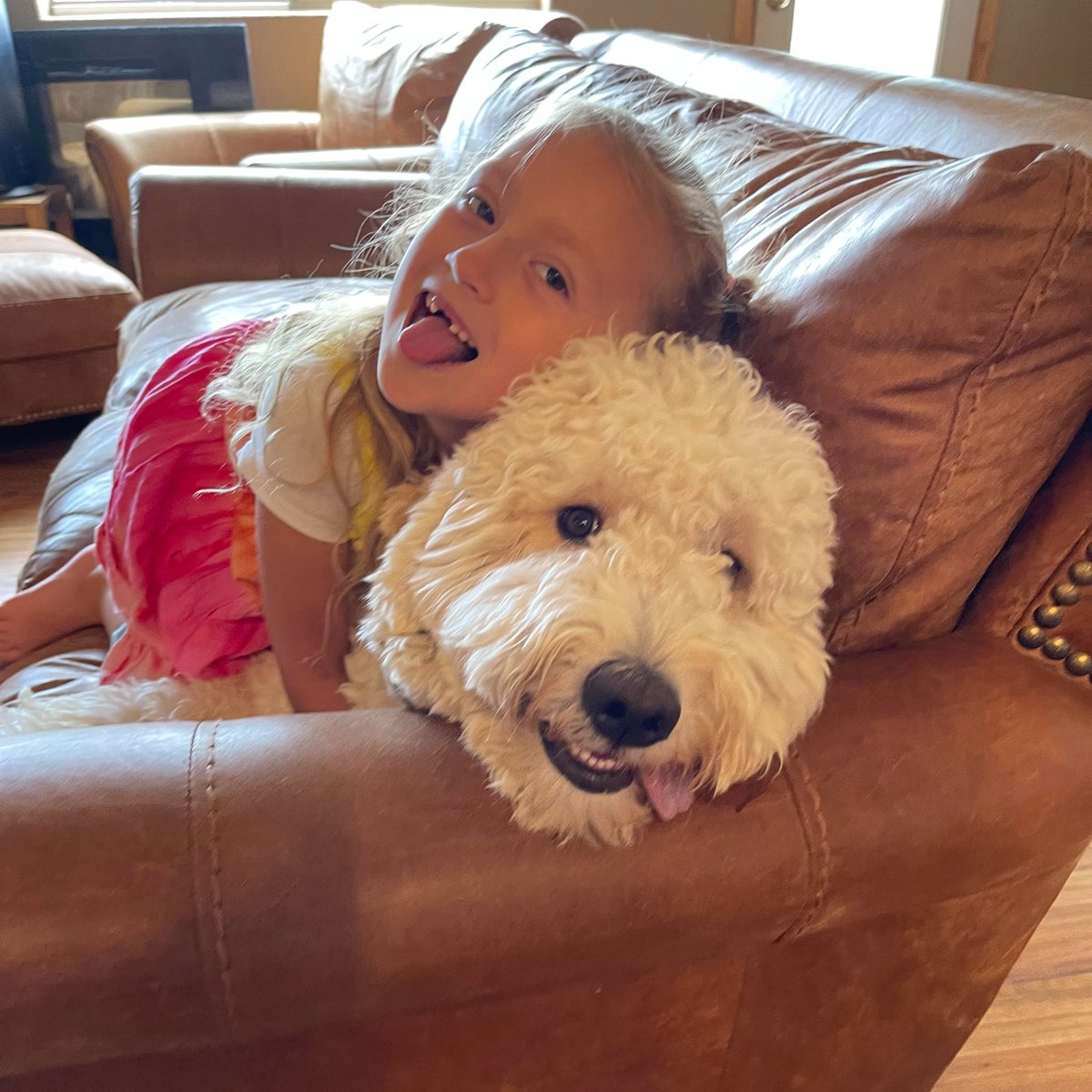 Chip's Tips:  Awww, kids...let the wonderrrful rrruckus begin! Best wishes for 2022-2023 to our dedicated teachers, never underestimate your influence or value! #teachersoftwitter #teacher #coaches <a href="/jimknight99/">Jim Knight 🇺🇦</a>  #educoachchat <a href="/C3Coaches/">C3-Connecting-Coaches-Cognition Podcast</a> <a href="/CorwinPress/">Corwin</a> #DogsofTwittter #dogsarelove