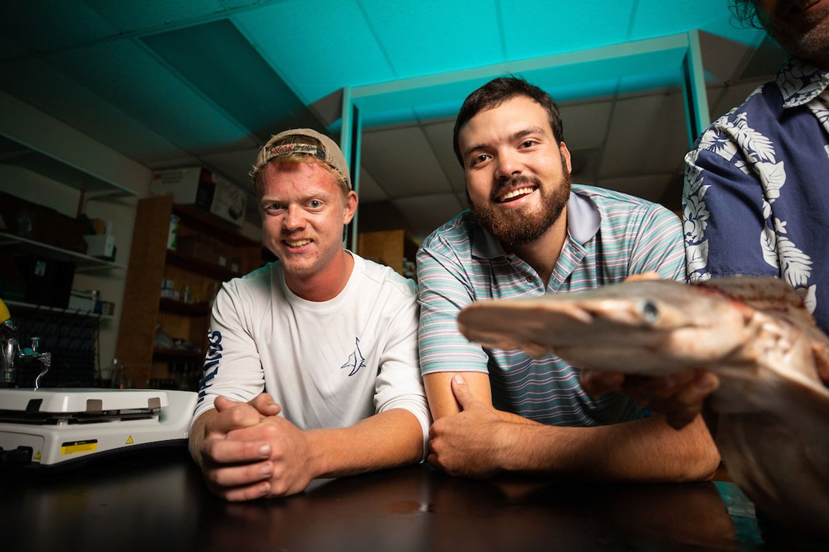 CofC Biology tweet media