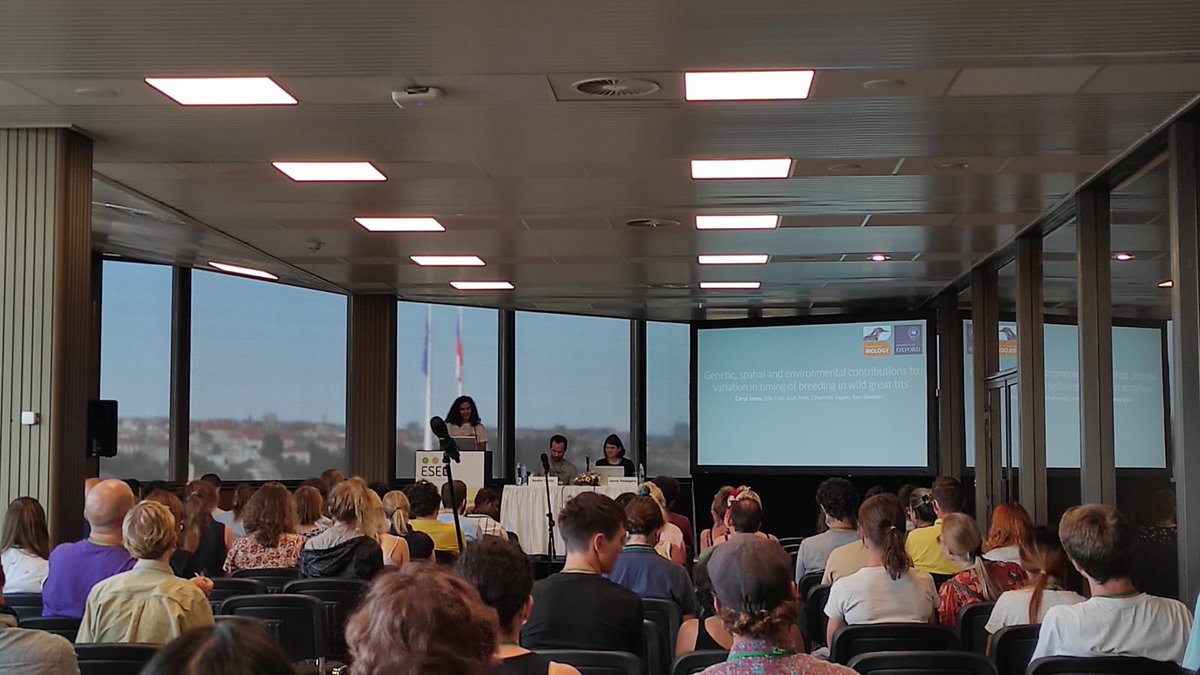 Carys Jones tweet media