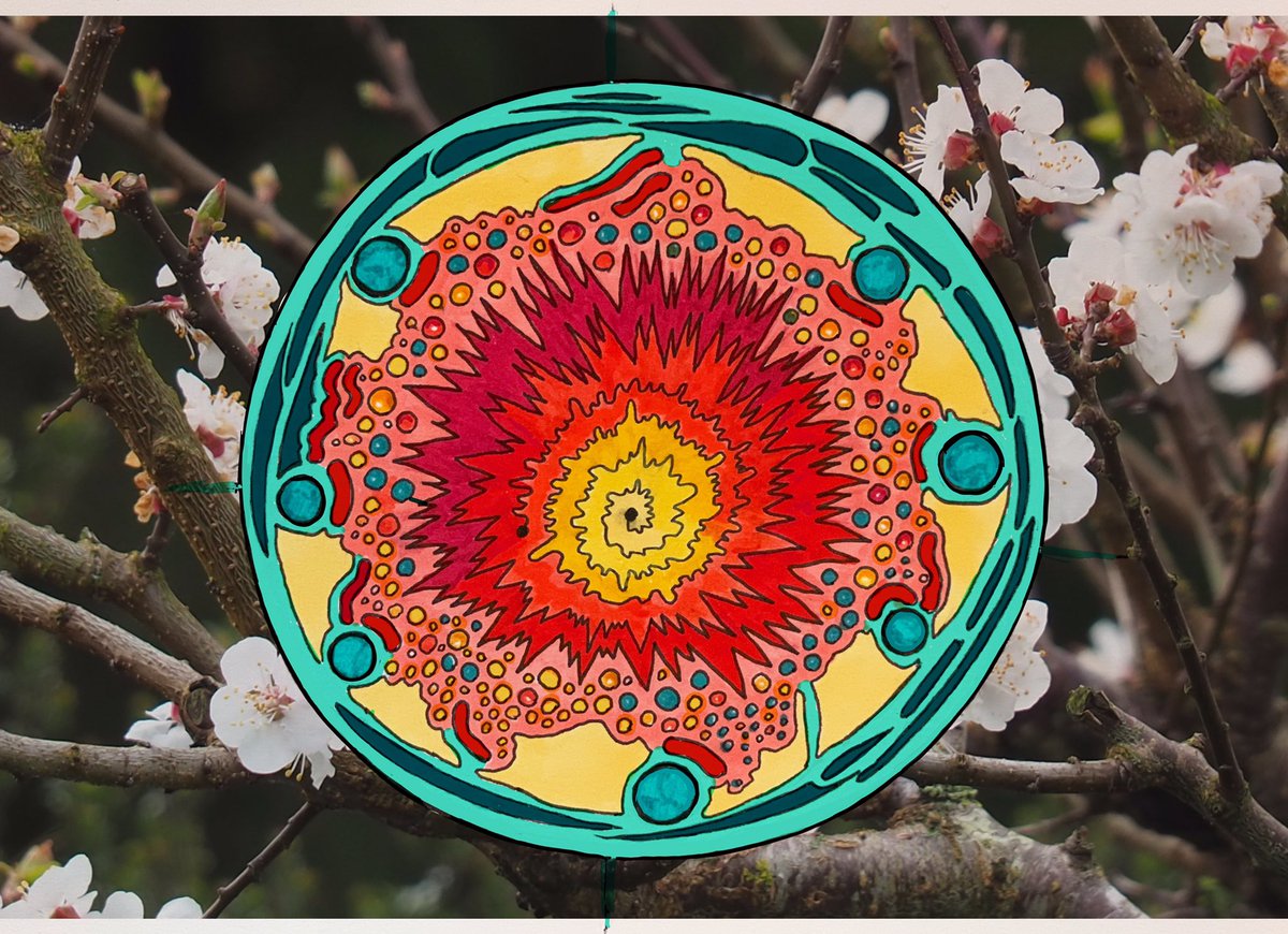EngageVisually's tweet photo. I love a mindful doodle, a mandala, beginning from the centre and just seeing where it takes me. Itโs an art to rest, reflect and recuperate.
#mandalaart #doodle #mindfulness #relax #recovery #recouperate #organic #inspiredbynature #sakura #Neuland #sharpie #AdobeFresco https://t.co/rZg2M2xqVj