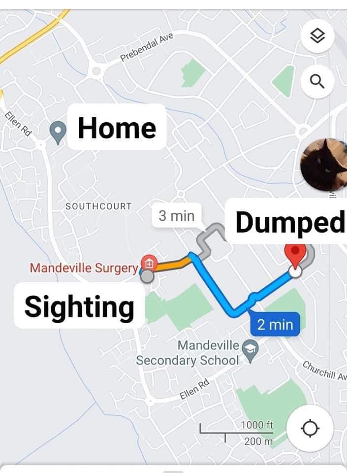Larawadey's tweet photo. ๐๐โโฌ #FindPrincess Update ๐โโฌ๐
Thames Valley Police are now satisfied with the evidence we have submitted to be able to follow lines of enquiry. The net has well and truly closed for this coward, but Princess is sadly still missing.
Please keep sharing, and searching! https://t.co/yhdJd2wYNH