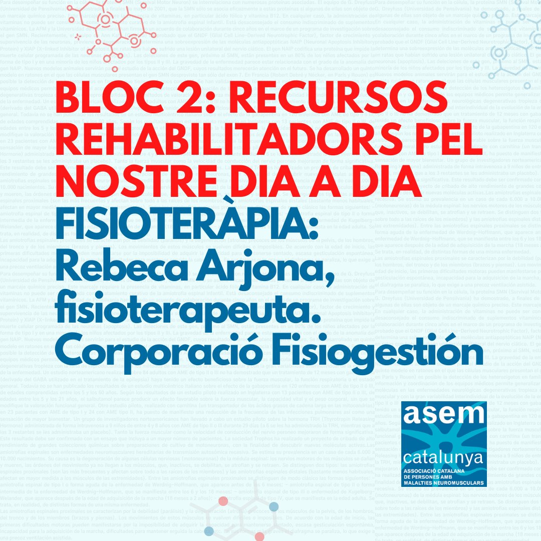 ASEMCatalunya's tweet photo. JORNADES #asemcatalunya 22
BLOC 2: RECURSOS REHABILITADORS PEL NOSTRE DIA A DIA
Coneixes la importància del programa de rehabilitació continuada?
Inscripció👇
https://t.co/EHTGZU4eRb
#neuromusculars #investigacio #pacientexpert #fisioterapia #psicologia #nutricio #sexualitat https://t.co/m1Qq0sSNf7