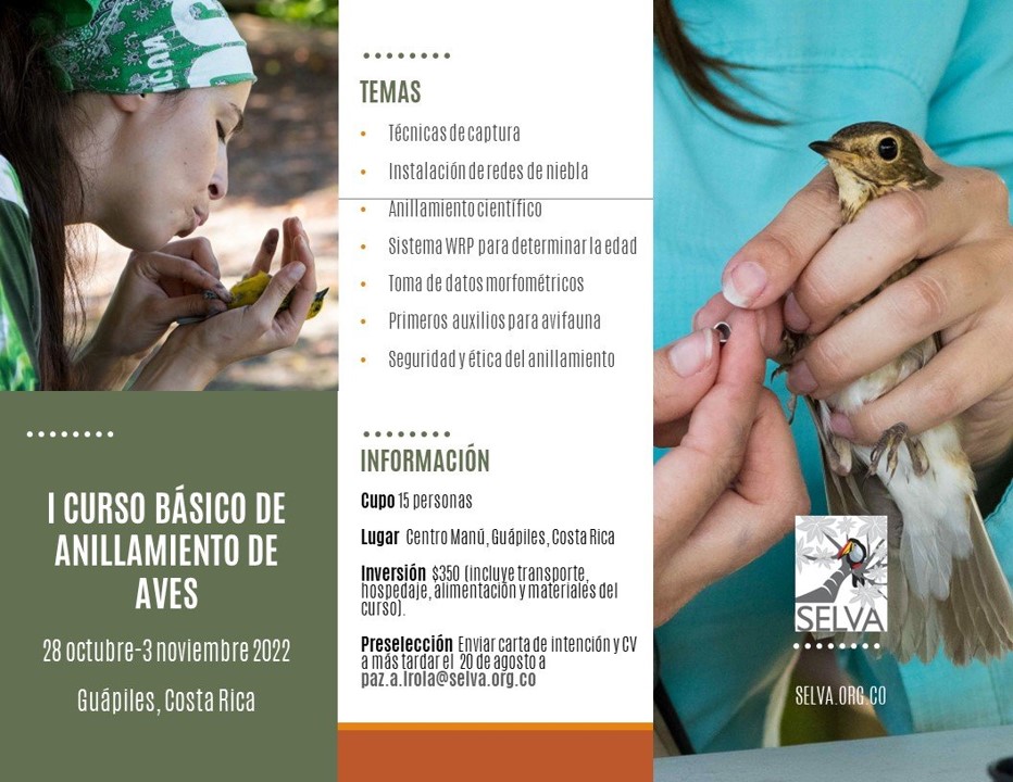 Vienen tres cursos de SELVA en 2022: 1. 28Oct-3Nov Curso de anillamiento – Costa Rica (info: paz.a.irola@selva.org.co); 2. 30Nov-5Dic Curso de inferencia estadística en ecología - Caldas; 3. 7-12Dic Curso de Anillamiento - Caldas. Más información: convocatorias@selva.org.co.