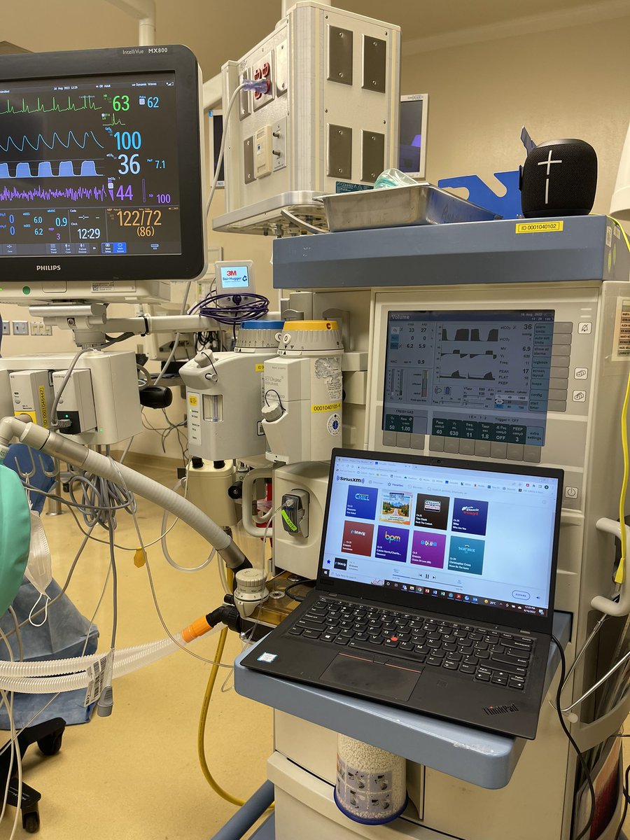 planet_brown's tweet photo. Sirius in the operating room @SluggoDoug ! https://t.co/0Eusl5y9x1