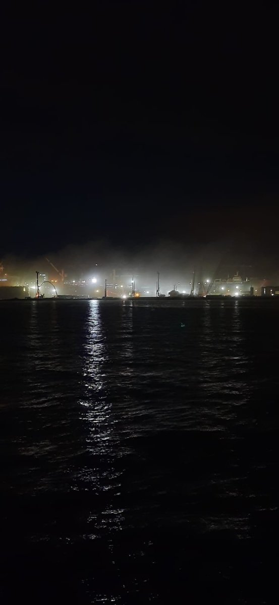 Marmara Yaşasın tweet media