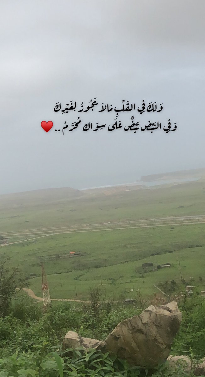 Um Gala (@moza66418867) on Twitter photo 