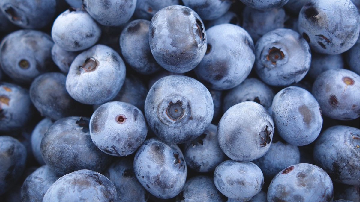 5 Insane Benefits of Eating Blueberries: