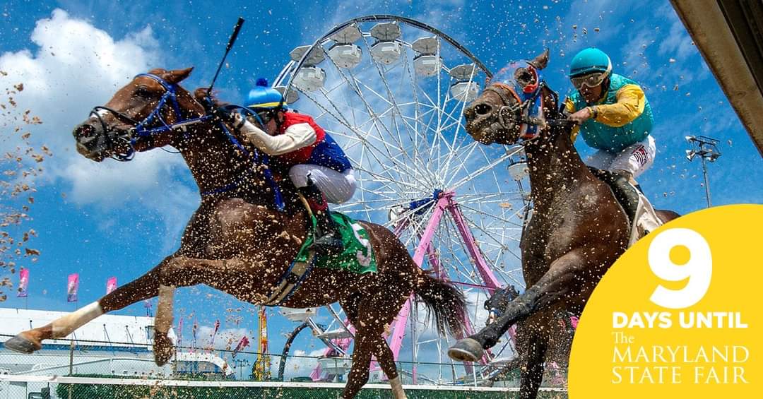 MDStateFair's tweet photo. 9 Day Countdown: See live Thoroughbred Horse Races at the Timonium Racetrack @MDStateFair Live Thoroughbred Racing from Aug. 26-28 &amp; Sept. 2-5. Post Time: 12:40 PM. Simulcasting at the OTB in Grandstand daily during the 3 Fair weekends: Aug. 25 – Aug. 28; Sept. 1-5; Sept. 8-11. https://t.co/But54991OW