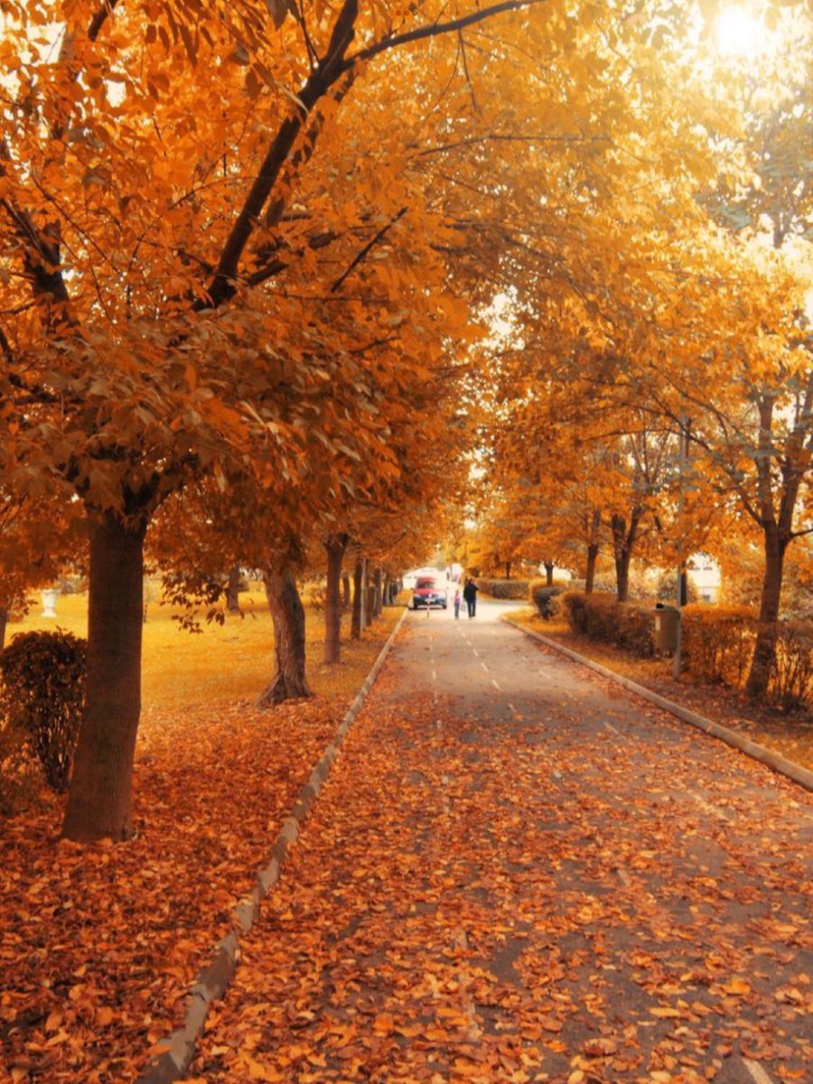 Architectolder's tweet photo. 37 🍁🍂⏰🤍. Simply magnificent https://t.co/VFLdhVHC7m