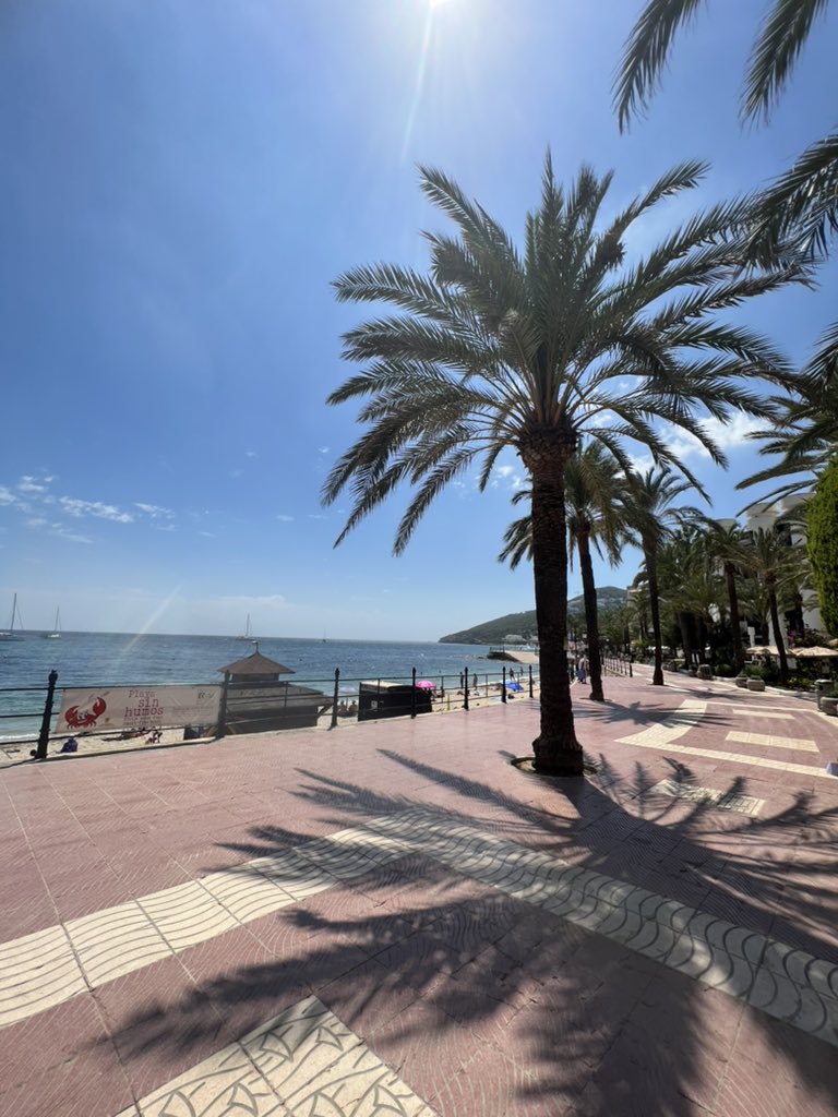 Back to Ibiza 🌴