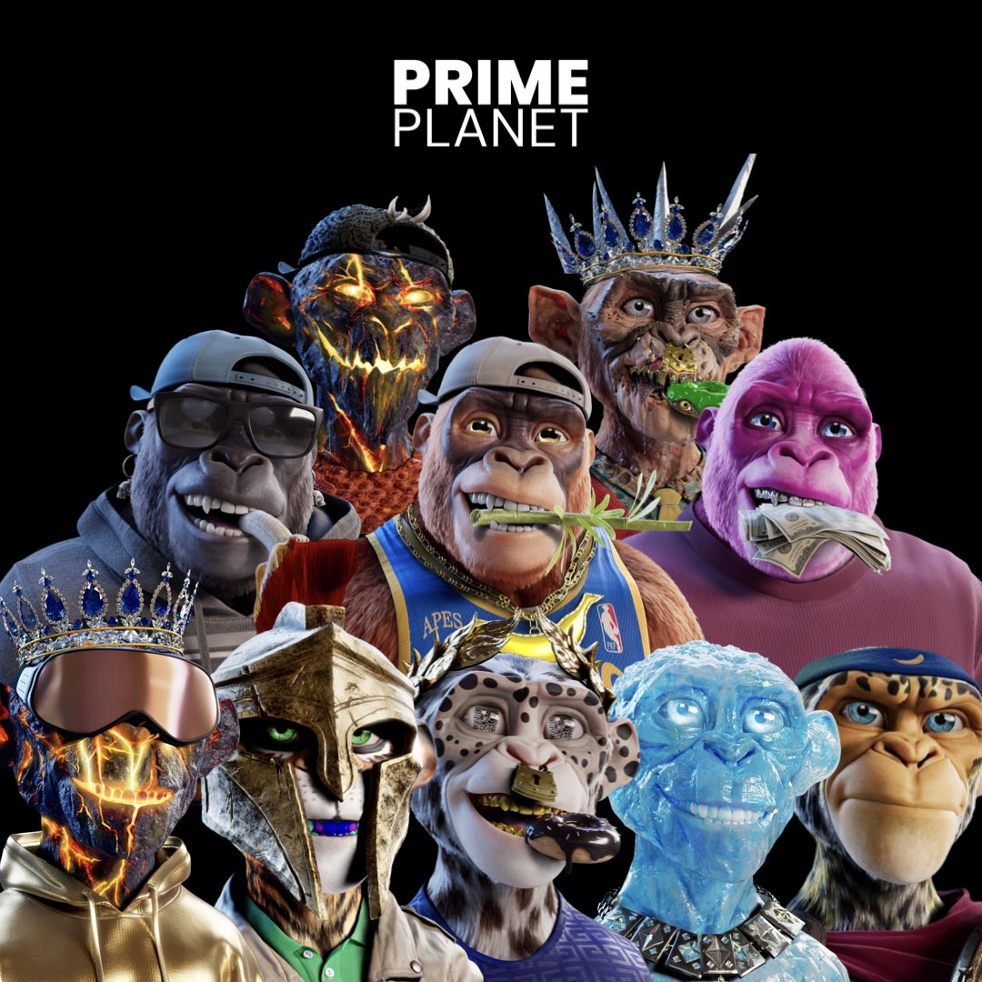 PrimeApePlanet's tweet photo. #PrimeFollowPrime

Prime Fam! Let’s bring back all the old holders and show future new holders our Prime Spirit! We will follow everyone who has a Prime PFP! 💙🦍 https://t.co/nFBf022el6