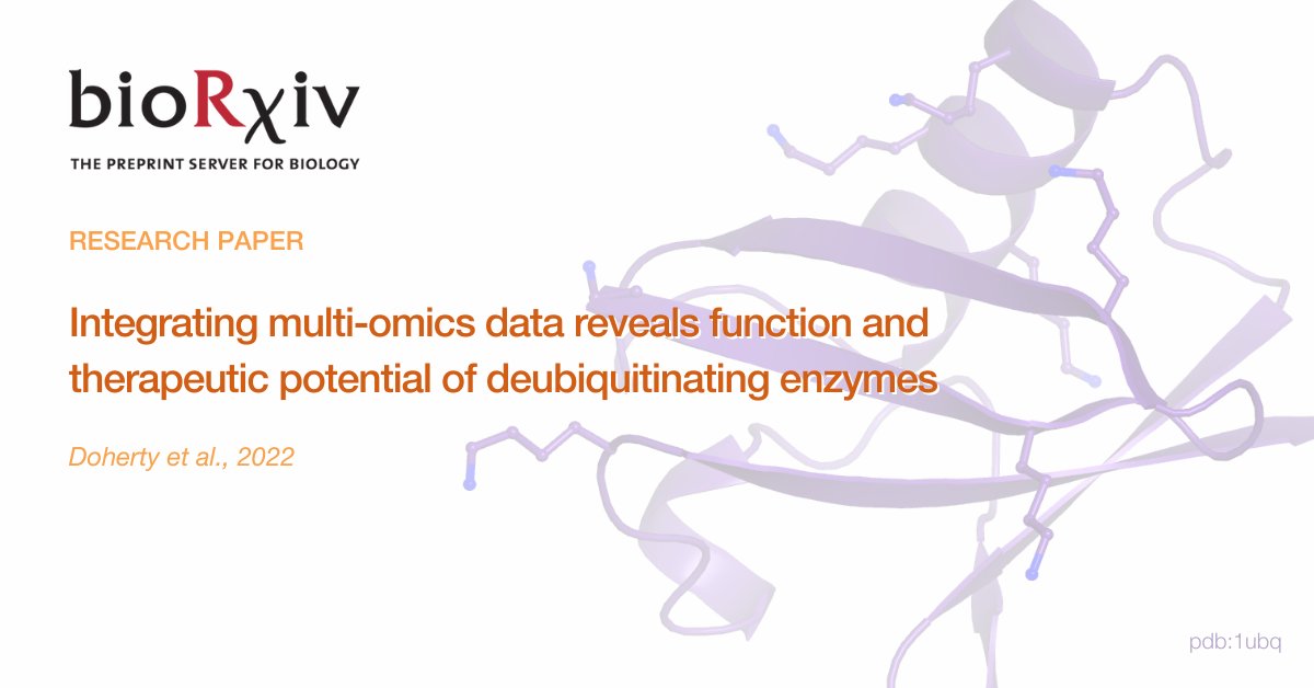 ubiquigent's tweet photo. In a hugely comprehensive #multiomics study by @LauraDohertyM et al., new functions of well-known DUBs and novel #drug targets have been uncovered: https://t.co/un2cHq0Ofb   
Now available online, this #data is a fantastic resource for the DUB community! https://t.co/XRUu8NlMAN https://t.co/cFJ1EKhv0Z