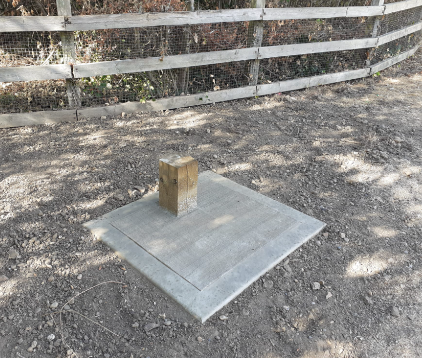 BDParkRangers's tweet photo. Park users may have noticed some curious additions to Eastbrookend CP this week.🤔No, it's not more bins! We are delighted to welcome Arty &amp; his animal friends for our new #Sculpture #trail. Inspired by the books by @HristovaLili &amp; Irina Goncherenko. 📕📚 https://t.co/fd0BGQteU8 https://t.co/oHnA0DmNxU