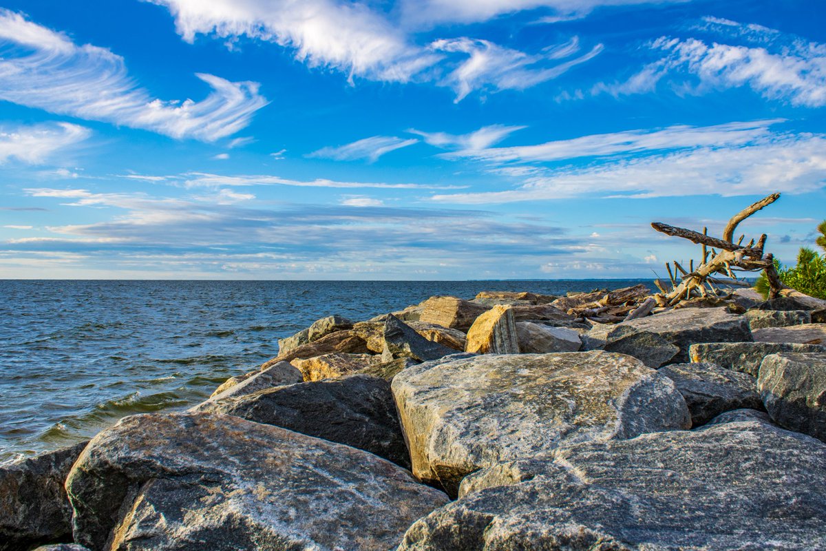 scottmcquinn1's tweet image. Beautiful weather for Mid-August on the Cheasapeake Bay 👏 @TuckerFox5 @ClaireFox5DC @fox5dc @WeatherNation @foxweather 👏 @TuckerFox5 @ClaireFox5DC @fox5dc @WeatherNation @foxweather