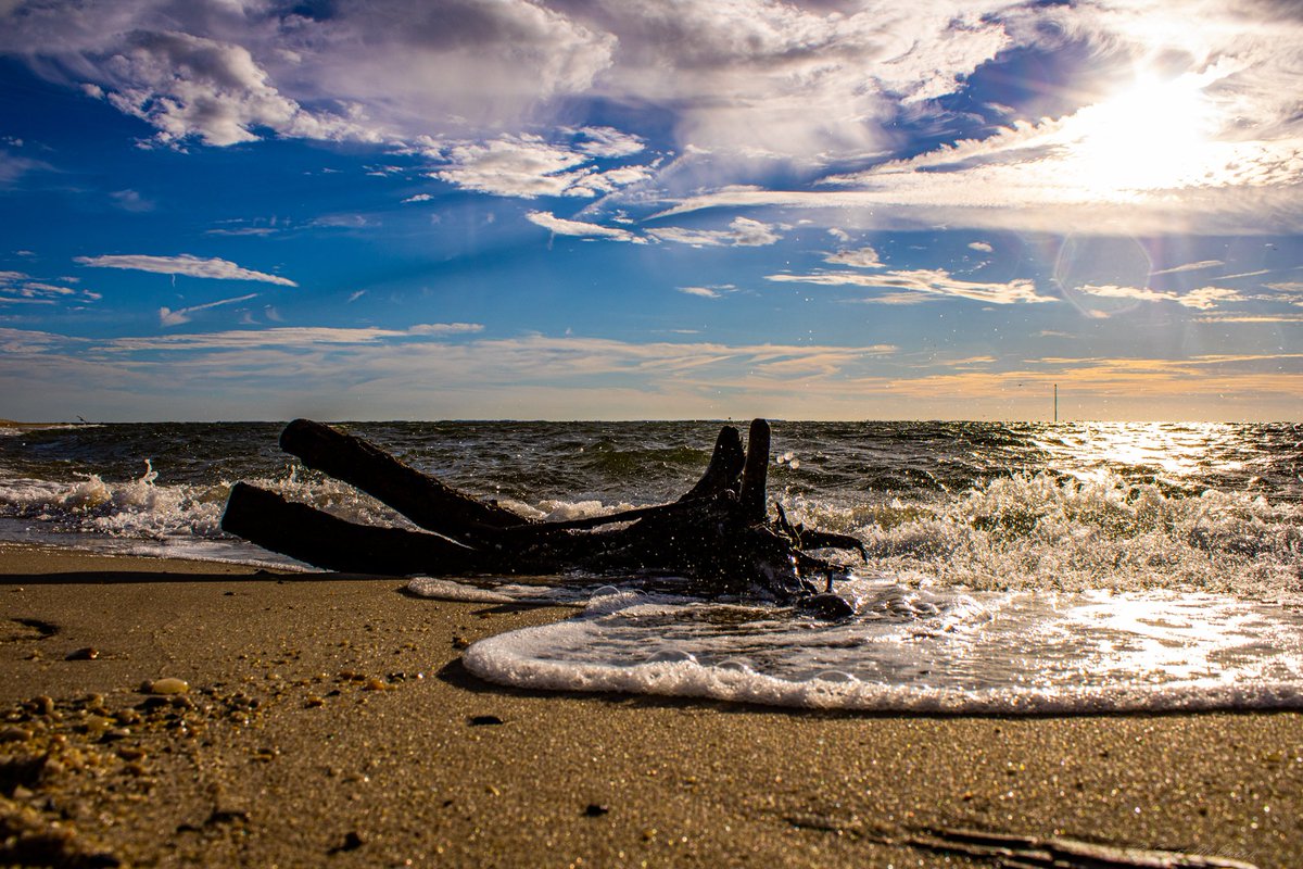 scottmcquinn1's tweet image. Beautiful weather for Mid-August on the Cheasapeake Bay 👏 @TuckerFox5 @ClaireFox5DC @fox5dc @WeatherNation @foxweather 👏 @TuckerFox5 @ClaireFox5DC @fox5dc @WeatherNation @foxweather