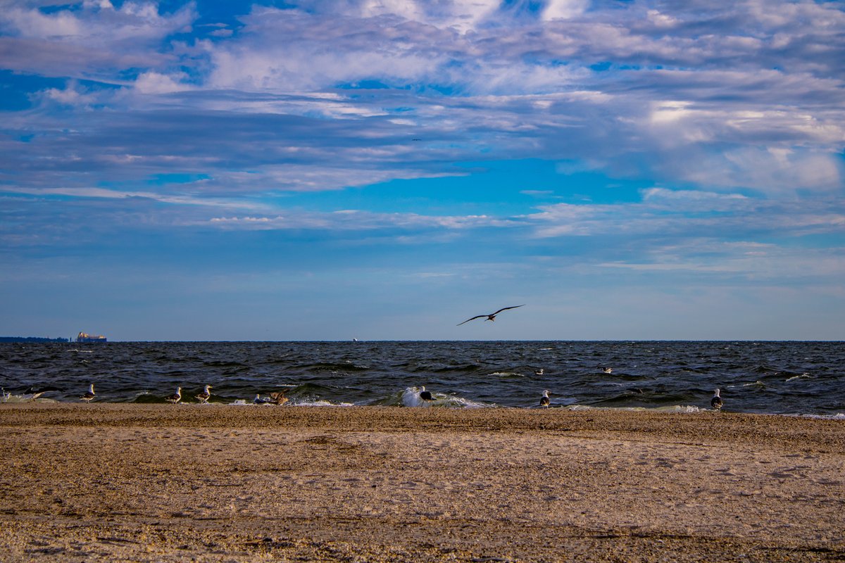 scottmcquinn1's tweet image. Beautiful weather for Mid-August on the Cheasapeake Bay 👏 @TuckerFox5 @ClaireFox5DC @fox5dc @WeatherNation @foxweather 👏 @TuckerFox5 @ClaireFox5DC @fox5dc @WeatherNation @foxweather