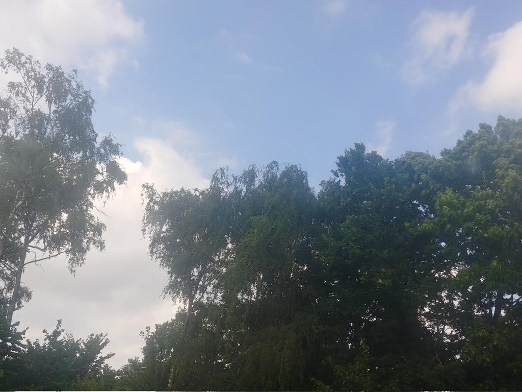 WaitItsKim's tweet photo. @GnomonChronicl1 good afternoon from sweden
14:17 pm
26°C (79°F), a bit windy https://t.co/vR265YHGzV