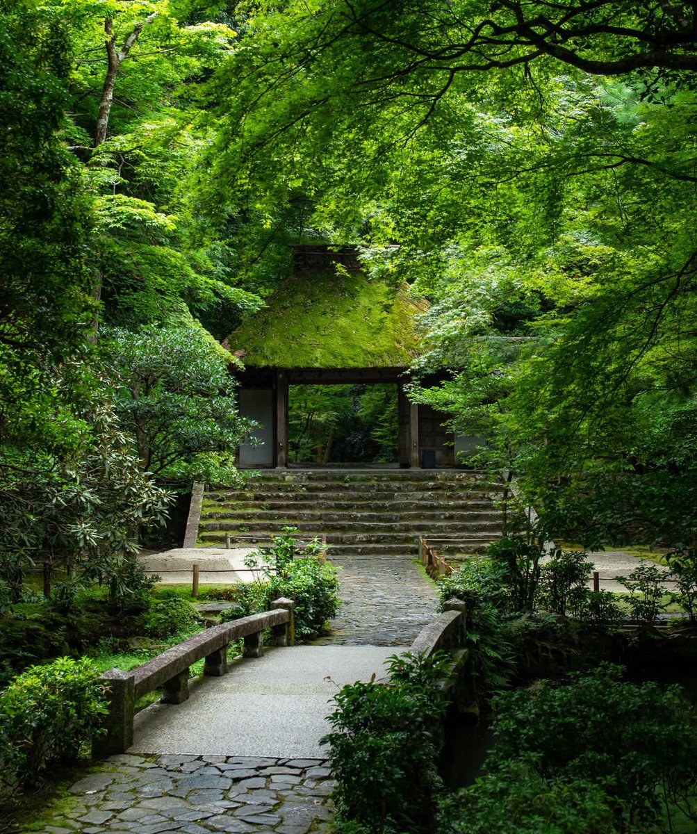 _magical_nature's tweet photo. Nature ❤️ https://t.co/ZDutqAbJJJ