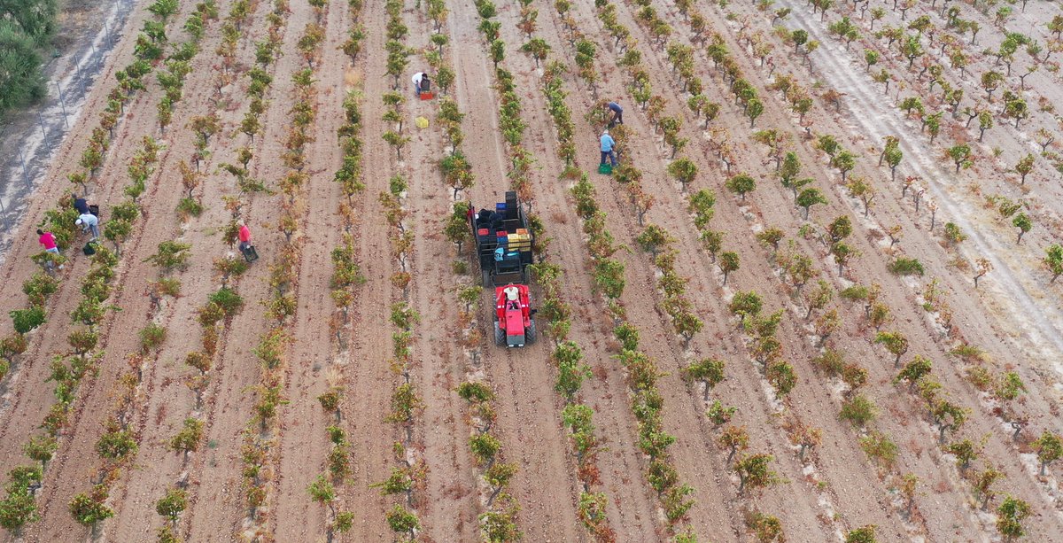 Ricardo Gamaza / Ecoperiodismo tweet media