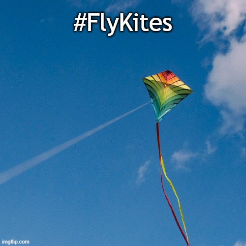 GnomonChronicl1's tweet photo. #FlyKites https://t.co/INELAS7wGI