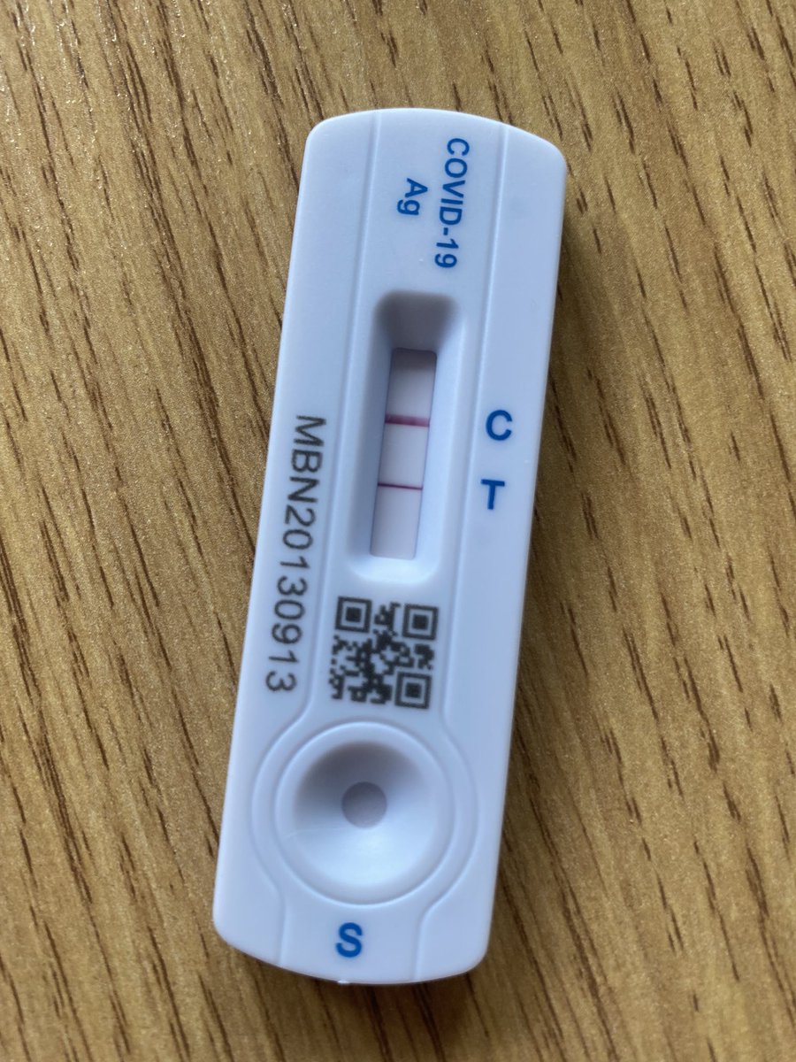 Sarah | Copper Confetti tweet media