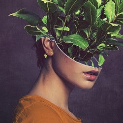 REVIEW: Sap ★★★★★ "Rafaella Marcus’ 70 minute debut play flew by" #EdFringe broadwaybaby.com/shows/sap/7603…