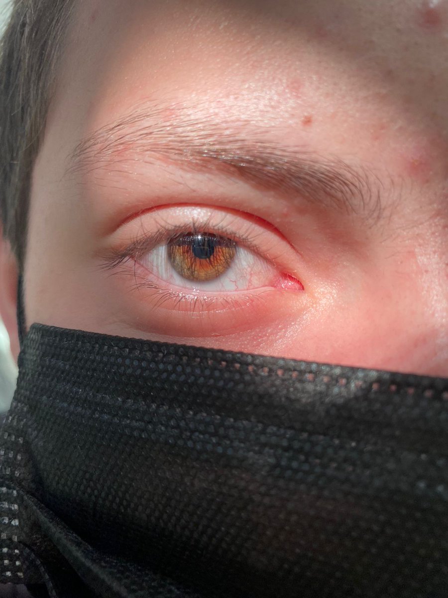 FanClubedoVitin's tweet photo. Os olhos da lenda https://t.co/OrlB4OTDwK