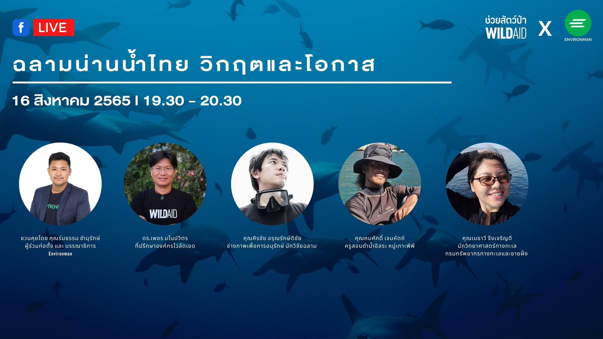 WildAidThailand's tweet photo. สดตอนนี้ทาง Facebook Environman และ WildAidThailand 
“ฉลามน่านน้ำไทย วิกฤตและโอกาส” https://t.co/VDA5ail7nF
