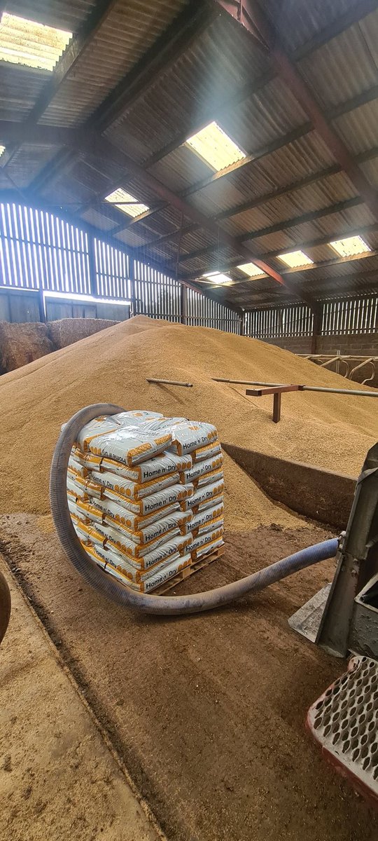 BayleyMobile's tweet photo. Home n dry treating spring barley today. https://t.co/t5pimOuO75