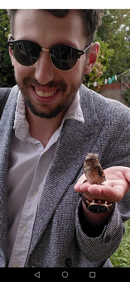 danielfirthpics's tweet photo. Had this little birdy come say hello this morning, could've stood and chatted all day but had to get to work https://t.co/VJ89IQ1ryz