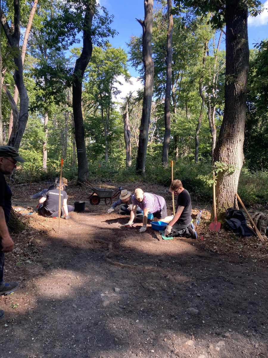 Kapellenberg Field School 2022: Day 2, slowly the central tumulus begins to reveal some secrets, eg a curious rock-lined feature in the foreground...web.rgzm.de/no_cache/forsc…
