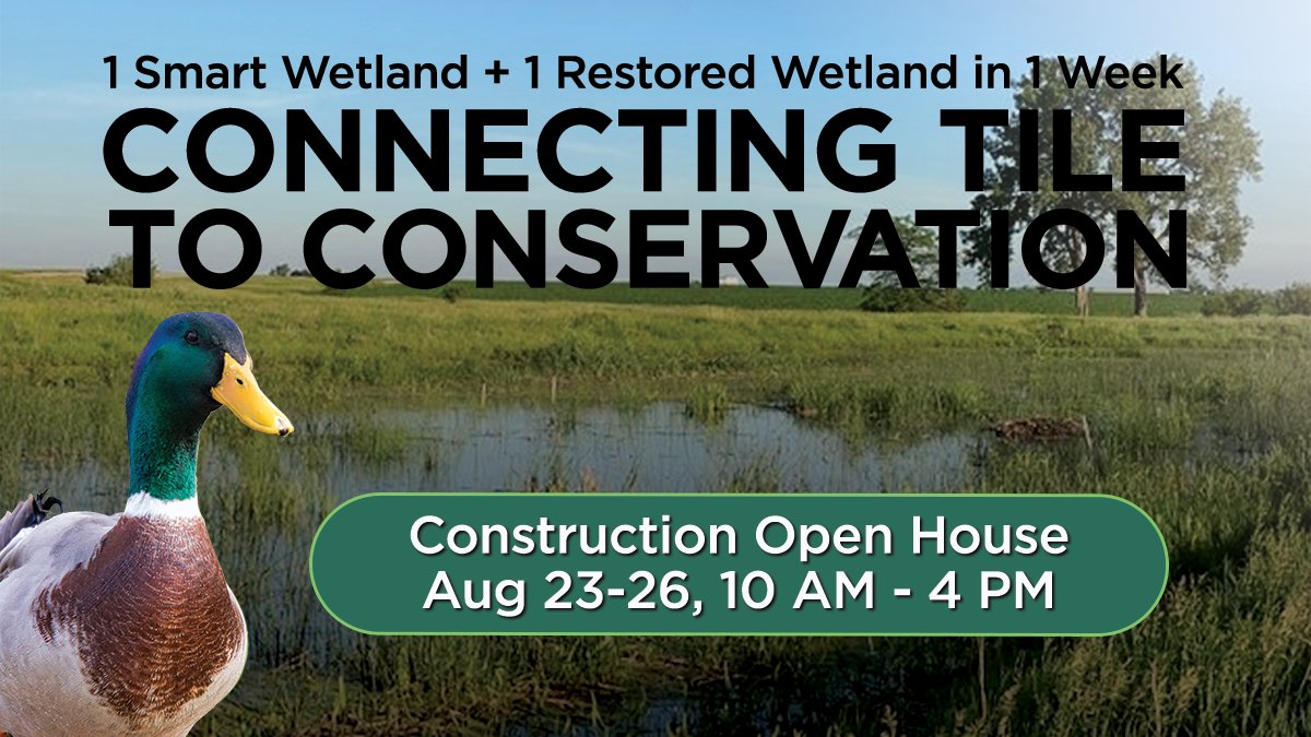 smartwetlands's tweet image. We will build two wetlands in one week at Feather Prairie Farm near Dwight, IL. You are invited to see how we are Connecting Tile to Conservation. For more info visit smartwetlands.farm/smartwetland6 @IllinoisLICA @DucksUnlimited @pheasants4ever @USFWSMidwest @SPIPipe