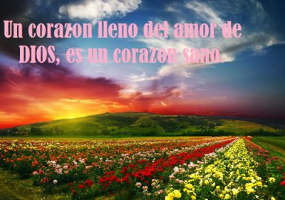 🙏😇 Feliz martes
2 <a href="/pbrcabrera_97/">PbrCabrera</a> <a href="/efb152369/">Fernando Bracho</a> <a href="/mabd152369/">Angeles Diaz</a> <a href="/Ordadvictor/">Victor Ordad</a> <a href="/Daniel809913662/">Daniel☸️☯️🔯✝️🔑☮️</a> <a href="/jaismar16/">jaismar</a> <a href="/pedro319085/">Pedro Zaragoza</a> <a href="/AlbertJos24/">Jose Hernandez</a> <a href="/gustavoher085/">gustavo hernandez</a>  <a href="/choncho085/">CHONCHO085</a> @ruthesteban14 @PEDROGO085 <a href="/silviadch152369/">Silvia Díaz Chacin</a> <a href="/oliverod152369/">Olivero Delgado</a>

#MaestrosYObrerosDeLaPatria