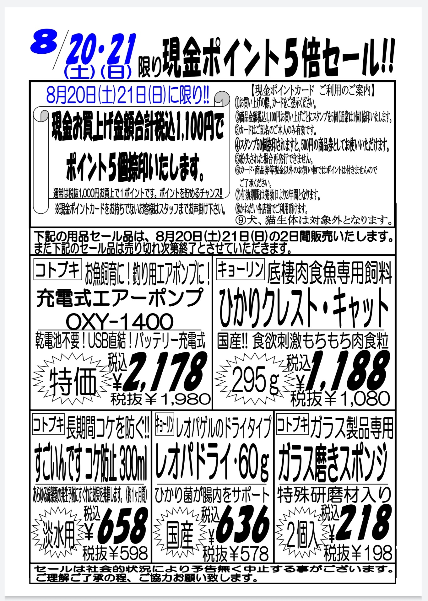 かねだい 海老名店 Al Twitter 8月日 土 21日 日 セール内容になります 爬虫類セールは後日掲載いたします T Co X7zpvtwvgw Twitter