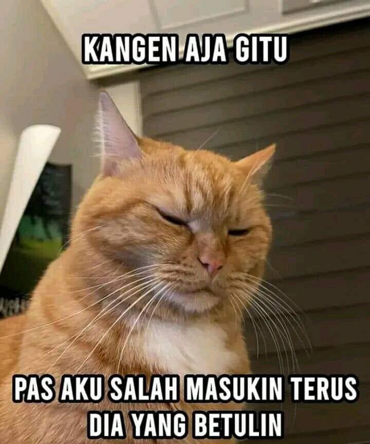 sosmedkeras's tweet photo. https://t.co/7RDMazqFO3