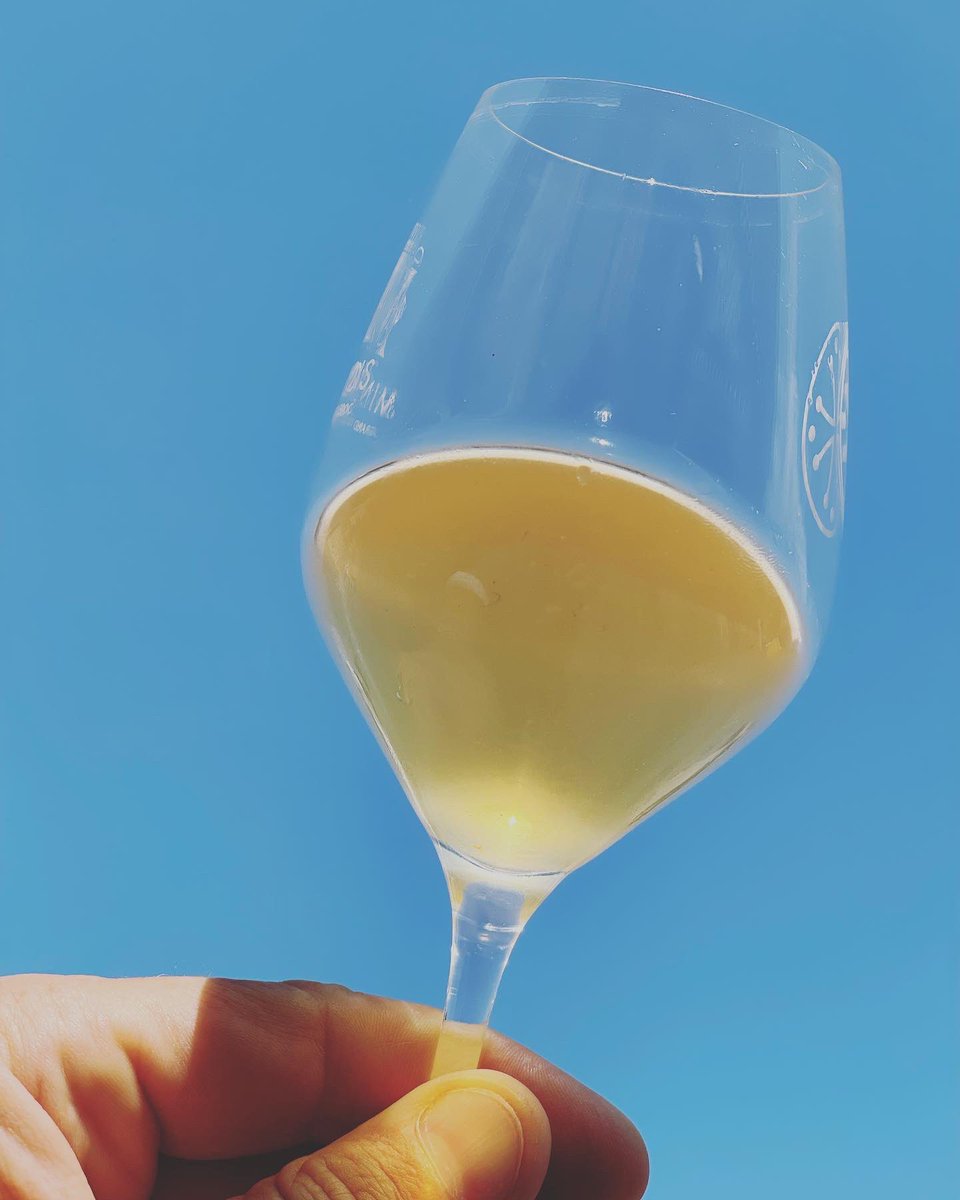 Back on winemaking boots!
Harvest 2022 is on with our first must of organic Chardonnay for our Bulles de Balthazar. 😎🍾
#balthazarharvest 
@lescoteauxduminervois @les_celliers_jean_dalibert