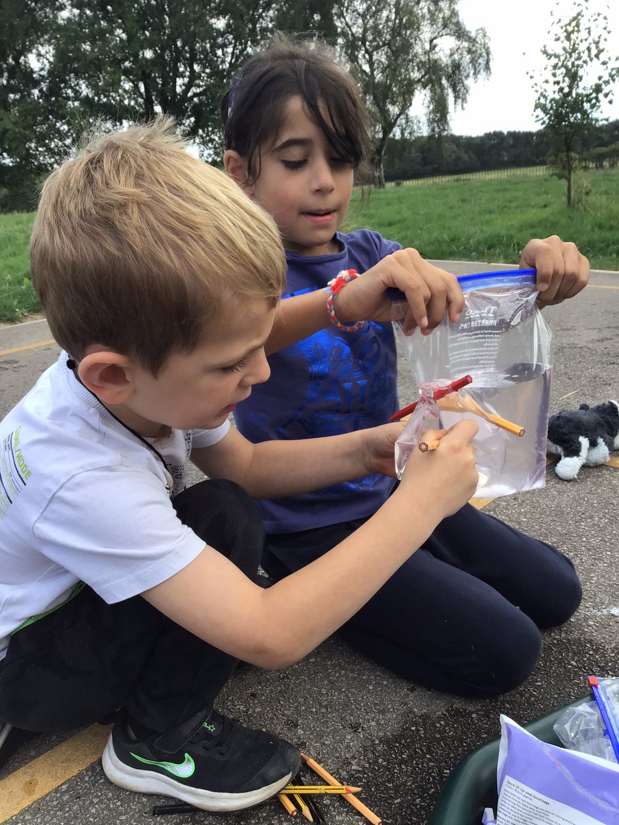 BPS_AllStars's tweet photo. This afternoon we are experimenting with water! @BlackrodPSch https://t.co/YVOkXmPnN2