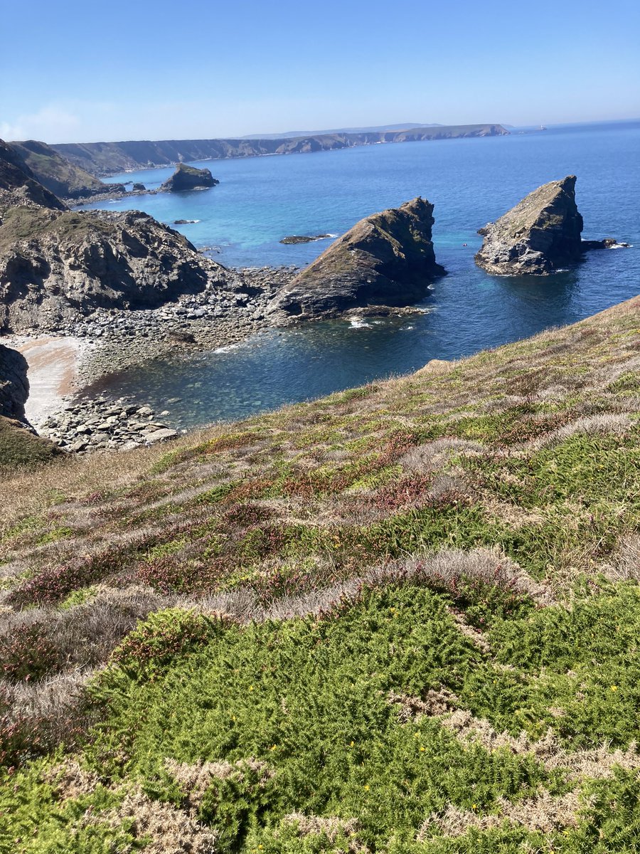 theSeahousePort's tweet photo. We really are blessed with some amazing coastline in #Portreath. #southwestcoastalpath 

Go and experience it 😍 last minute availability wc 26th August at The Seahouse due to owner cancellation @CornwallHide https://t.co/buXmtqhFxe