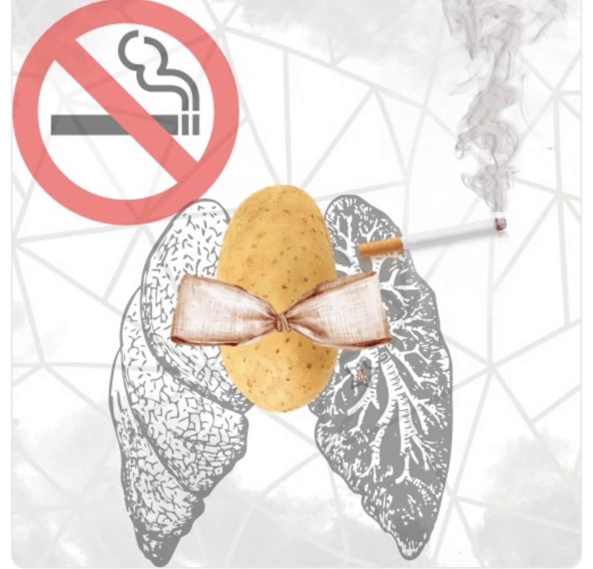 PhantatumNFT's tweet photo. @cryptoBILLnfts Check out the new batch of #PhantatumNFT that dropped last night in the #Phantatum #NFTCollection. 

These #POTATOES won’t be this low for long! I promise you’ll be glad you invested. 🔥🔥🔥🚀💫💰

Buy yours now @ https://t.co/B2y94hyMZB https://t.co/dKiXRjyiNv