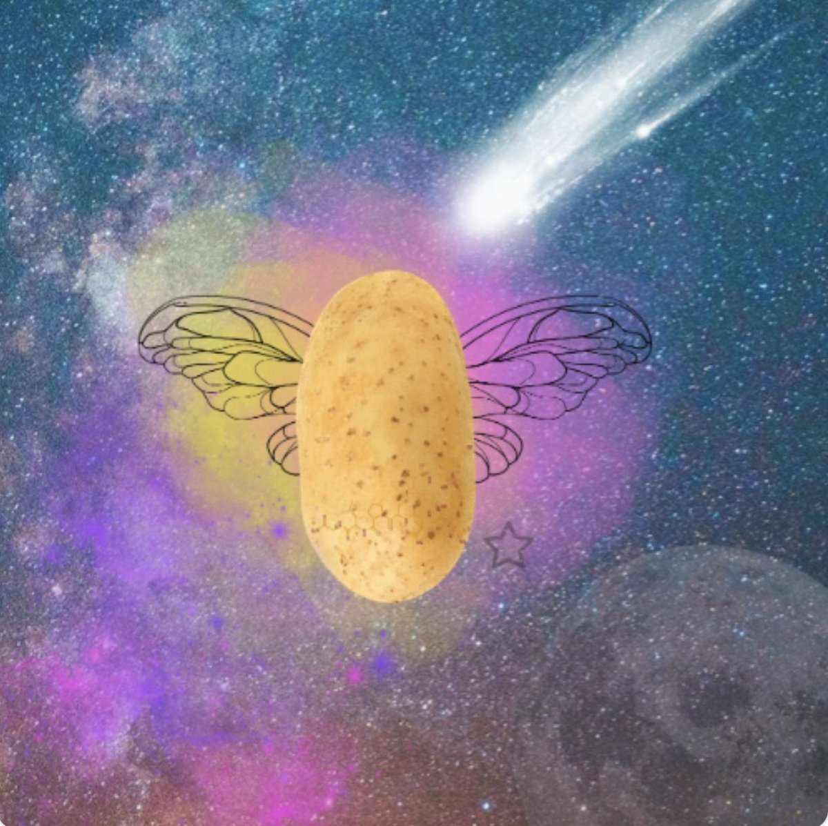 PhantatumNFT's tweet photo. @cryptoBILLnfts Check out the new batch of #PhantatumNFT that dropped last night in the #Phantatum #NFTCollection. 

These #POTATOES won’t be this low for long! I promise you’ll be glad you invested. 🔥🔥🔥🚀💫💰

Buy yours now @ https://t.co/B2y94hyMZB https://t.co/dKiXRjyiNv