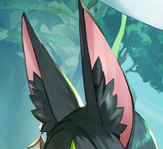tighnariluvbot's tweet photo. Just Tighnari and his ears https://t.co/kzOBOUT7ku