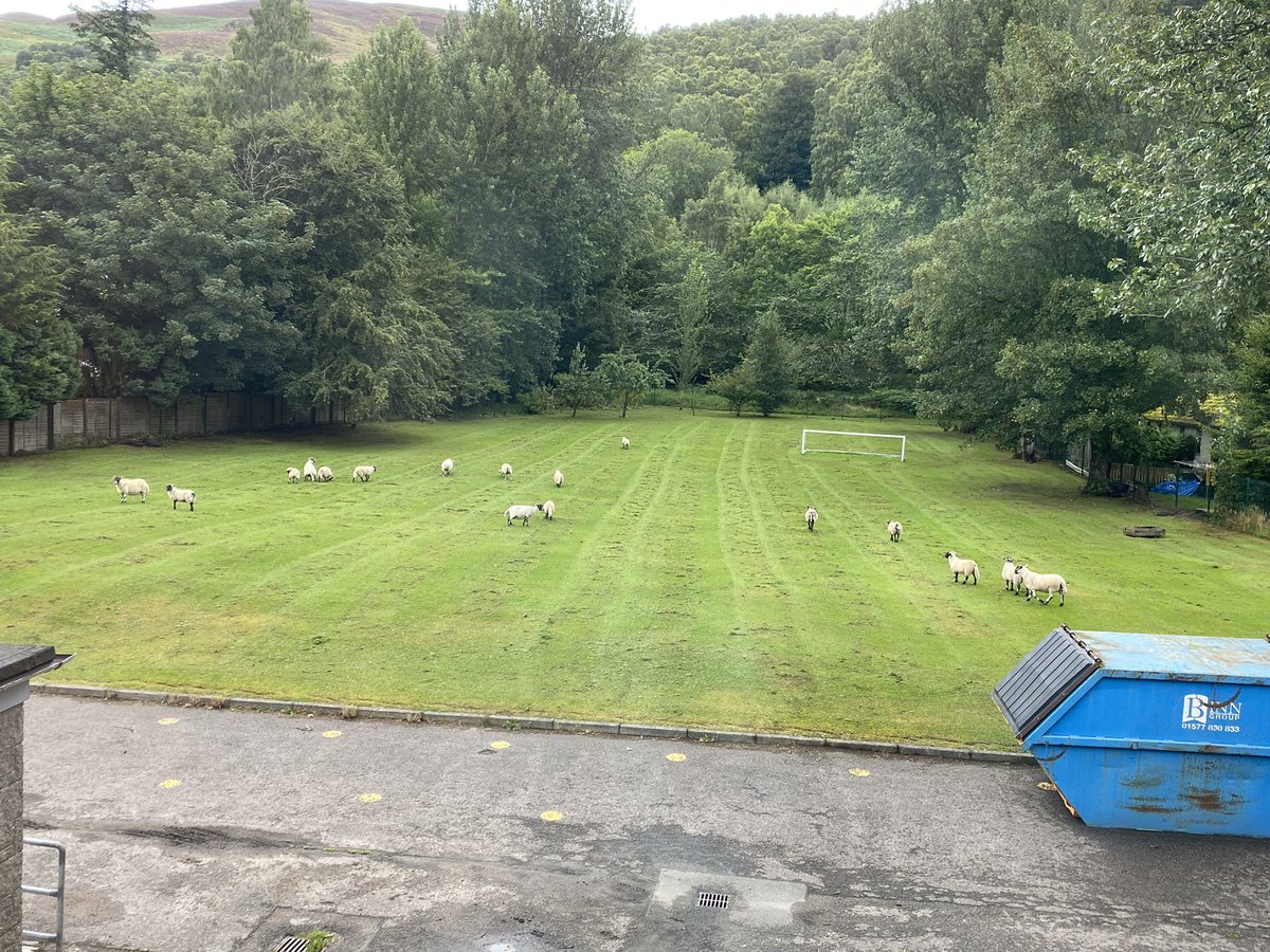 It was nice to see some of the locals coming down to help us set up for the new school year - they think this term’s learning will be unbaaaaaalievably great!🐑 #highlandlife