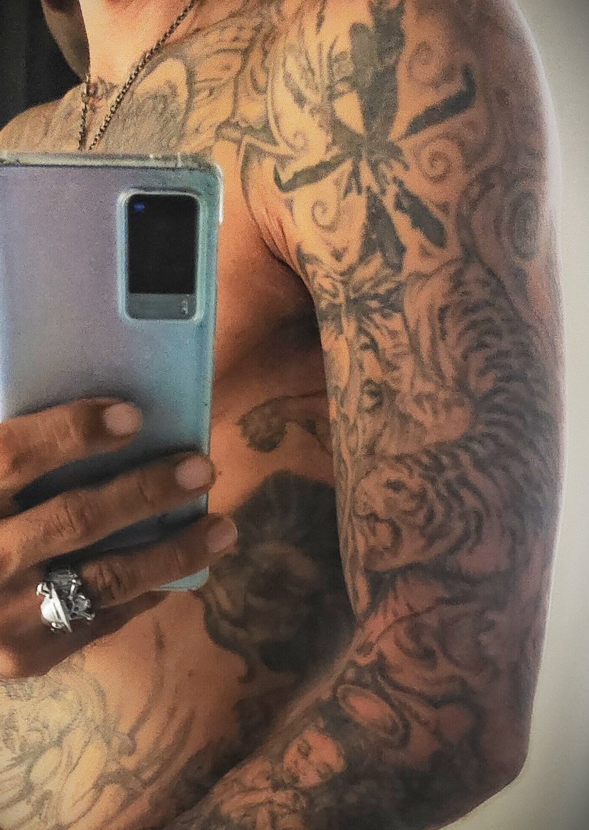 BounceBackOn2's tweet photo. Just in case you don't know, I've been a  Bengal all my Life. #TheLifeofPi @GutterCatGang #Bengal #TigerGang 🏴‍☠️🏴‍☠️🏴‍☠️ https://t.co/sA6AWVNlsP