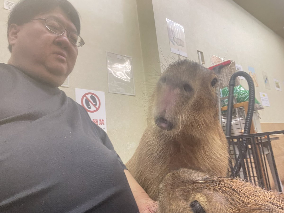 paypal.me/CapybaraLand
