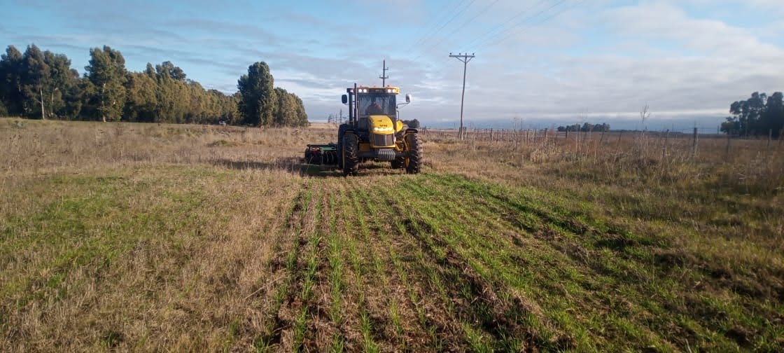CarinaLambrecht's tweet photo. 🚜Empezamos los trabajos de prevención de incendios forestales frente a la cercanía de la próxima temporada estival
🚜Tareas de cortafuegos y mantenimiento de banquinas
#RN3 #TresArroyos #RN228 #Necochea
#Conservación
#PrimeroLaGente
#VialidadNacional90Años
@gtrankels https://t.co/ZlPCXoeuDY