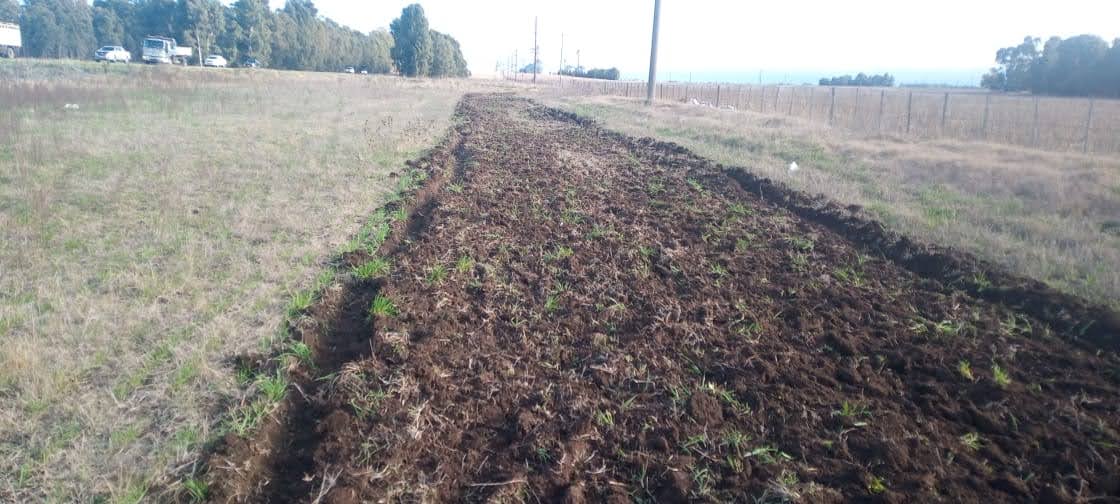 CarinaLambrecht's tweet photo. 🚜Empezamos los trabajos de prevención de incendios forestales frente a la cercanía de la próxima temporada estival
🚜Tareas de cortafuegos y mantenimiento de banquinas
#RN3 #TresArroyos #RN228 #Necochea
#Conservación
#PrimeroLaGente
#VialidadNacional90Años
@gtrankels https://t.co/ZlPCXoeuDY