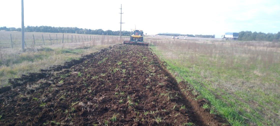 CarinaLambrecht's tweet photo. 🚜Empezamos los trabajos de prevención de incendios forestales frente a la cercanía de la próxima temporada estival
🚜Tareas de cortafuegos y mantenimiento de banquinas
#RN3 #TresArroyos #RN228 #Necochea
#Conservación
#PrimeroLaGente
#VialidadNacional90Años
@gtrankels https://t.co/ZlPCXoeuDY