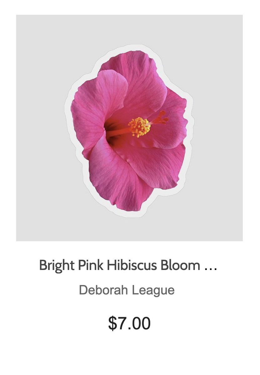 DeborahLeagueFA's tweet photo. DAILY STICKER!!! AVAILABLE HERE - https://t.co/pQYM5j15DX
#vibrant #fun #Happiness #Stickers #stickerlove #dailysticker #flowersticker #hibiscussticker #shopearly #art #collectible #BuyIntoArt #cutout #artwork #flowerart #shopearly #floral #art #artist #artwork #pinkflower https://t.co/uB1jLLw5iH